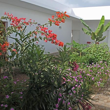 Villa Sao Jose Pedra Badejo  Εξωτερικό φωτογραφία