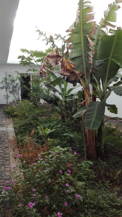Villa Sao Jose Pedra Badejo  Εξωτερικό φωτογραφία